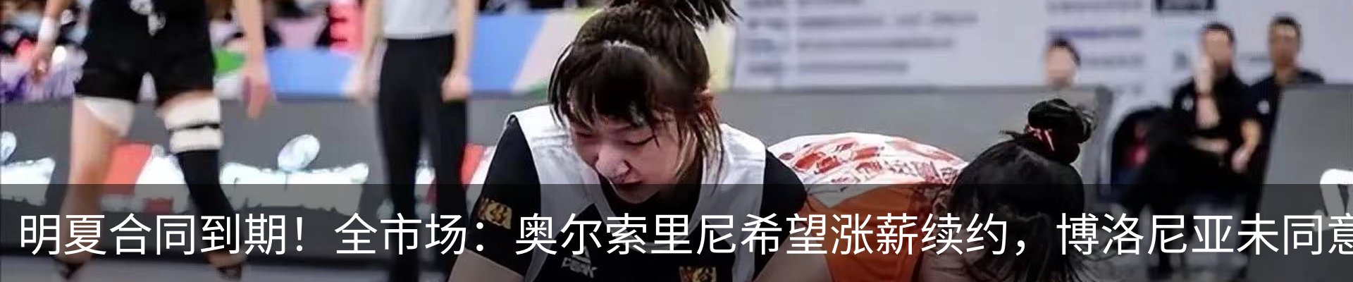 新闻动态